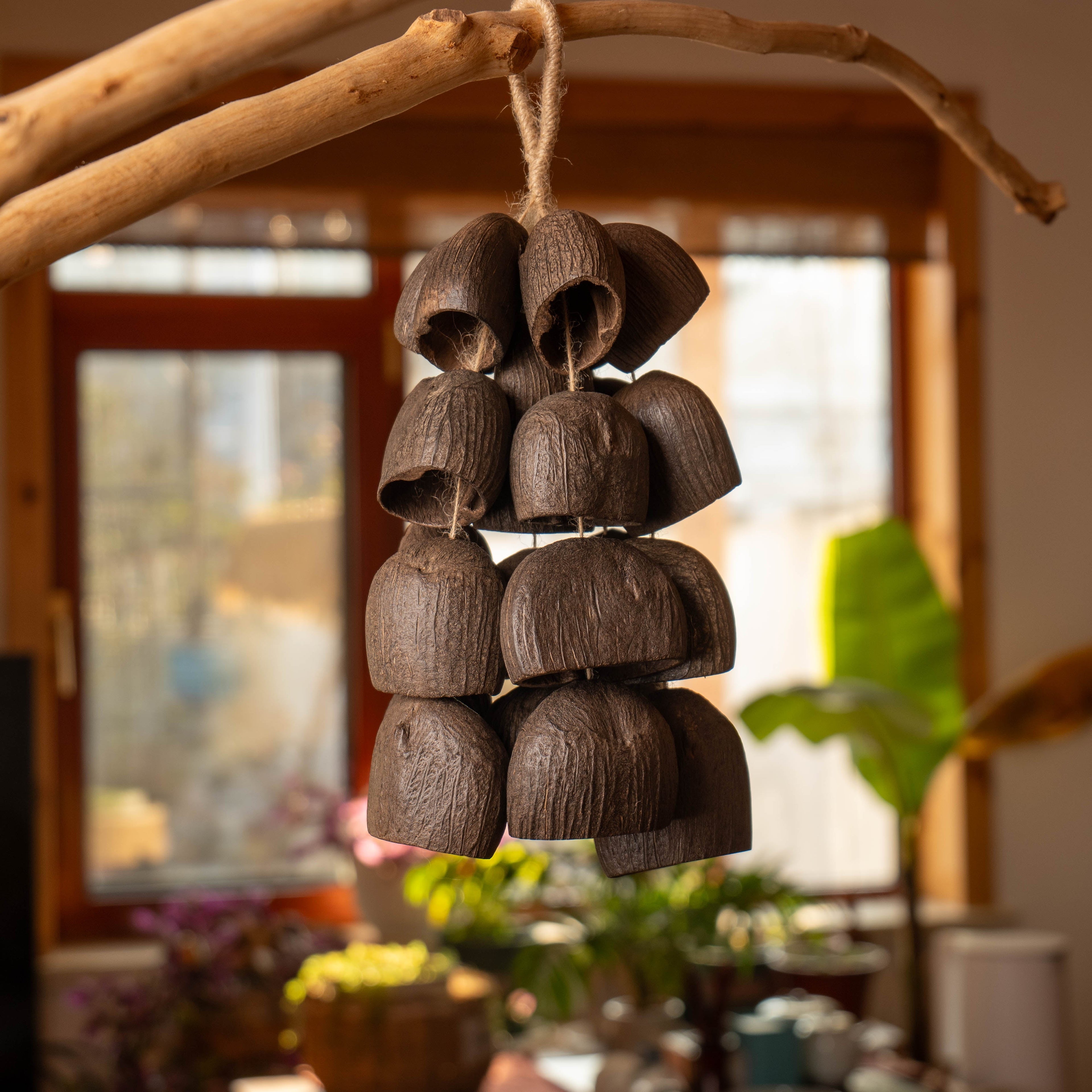 The Sound Healing Series