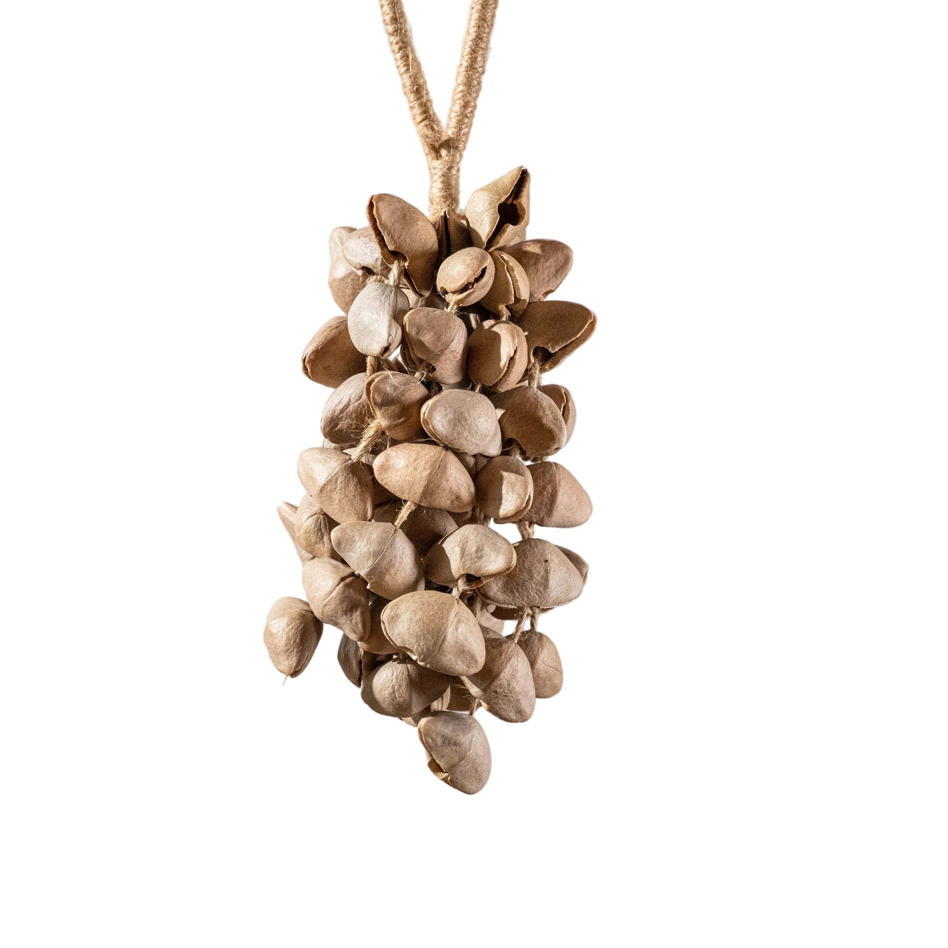 Handcrafted 74-seed Chacha shell wind chime in beige and brown on jute rope — botanical acoustic anchor for sensory grounding and sound healing