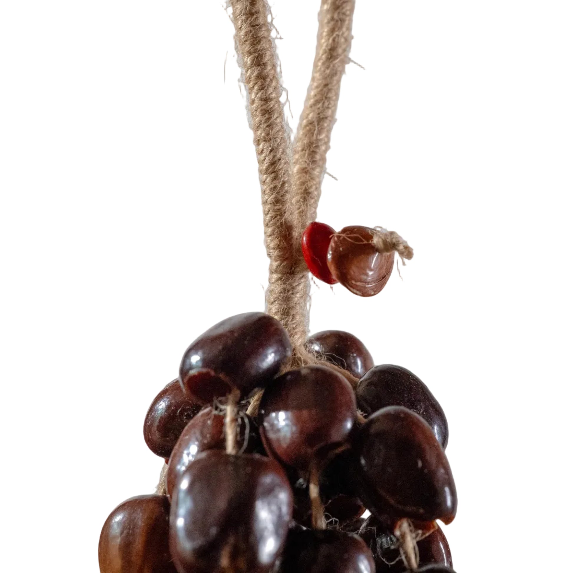 Large 96-seed Pala nut wind chime with peach pits and red beans on jute rope — flagship botanical sound healing and meditation decor