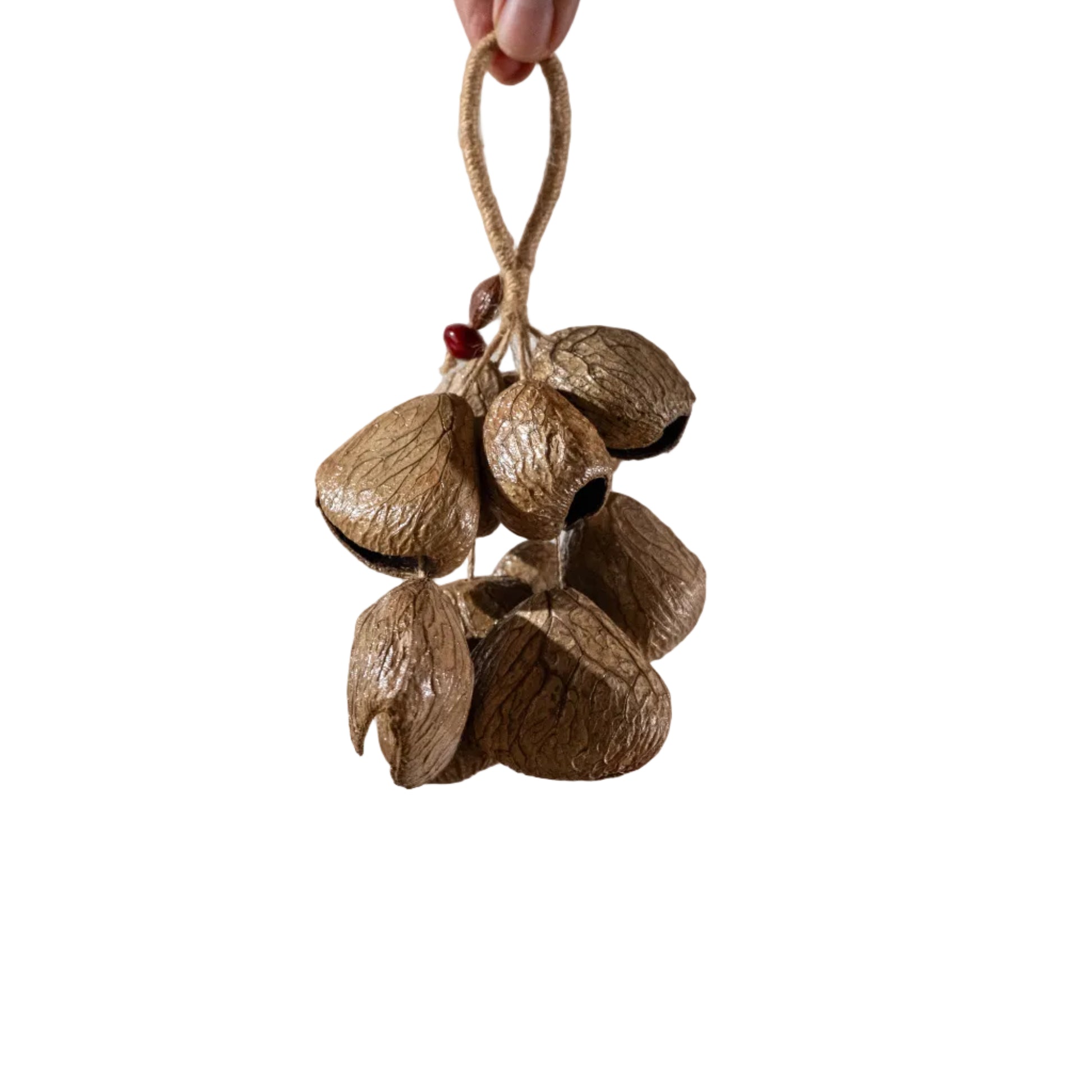 Handcrafted 10-seed Panji nut cluster door chime with red bean accent on jute rope — natural boho entryway and balcony decor