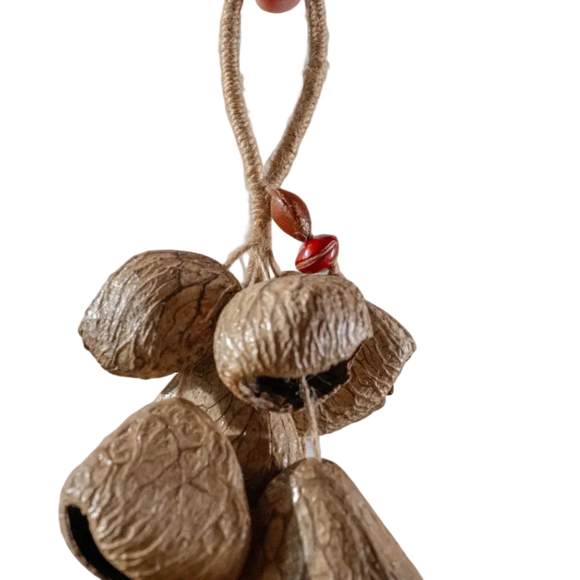 Handcrafted 10-seed Panji nut cluster door chime with red bean accent on jute rope — natural boho entryway and balcony decor