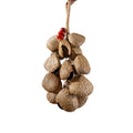 Handcrafted 18-seed Panji nut wind chime with red bean accents on hemp rope — botanical sound healing home decor