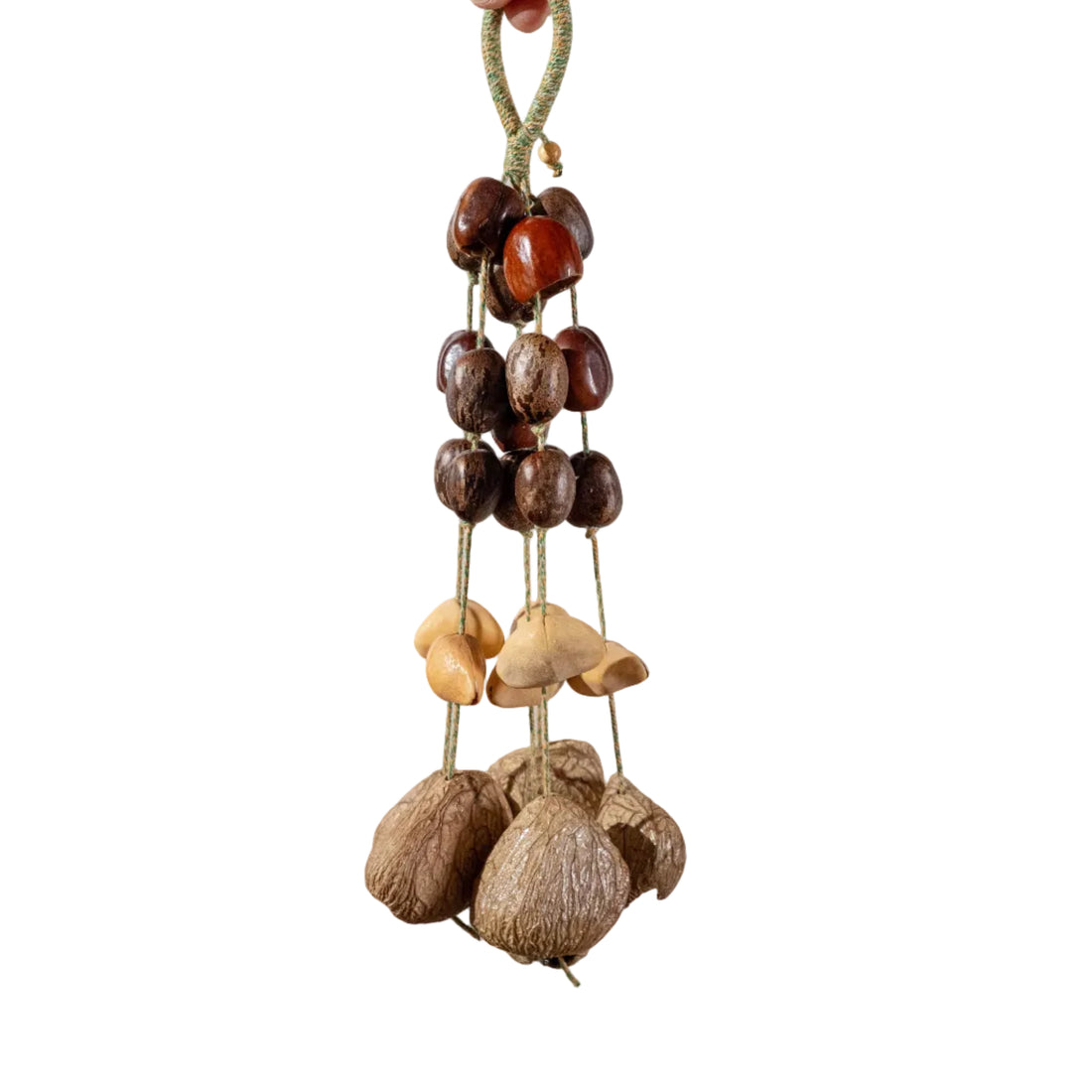Professional 30-seed botanical wind chime featuring 18 Pala nuts, 6 Chacha pods, and 6 Panji shells for yoga, meditation, and sound healing.