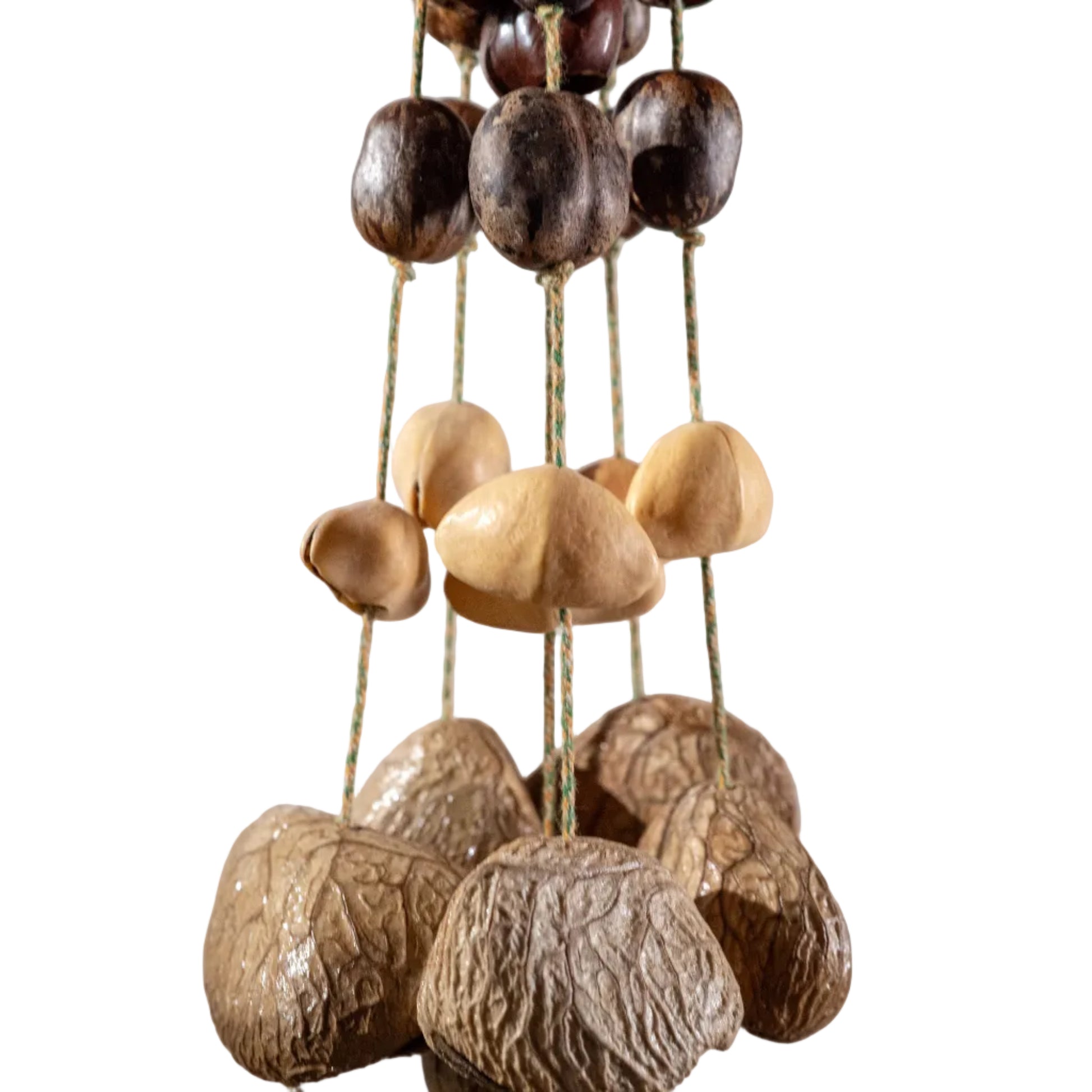 Professional 30-seed botanical wind chime featuring 18 Pala nuts, 6 Chacha pods, and 6 Panji shells for yoga, meditation, and sound healing.