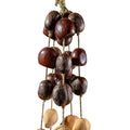 Professional 30-seed botanical wind chime featuring 18 Pala nuts, 6 Chacha pods, and 6 Panji shells for yoga, meditation, and sound healing.