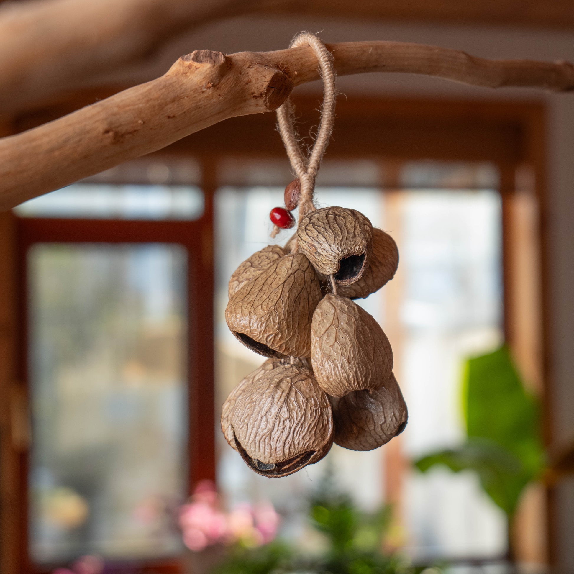 Handcrafted 10-seed Panji nut cluster door chime with red bean accent on jute rope — natural boho entryway and balcony decor