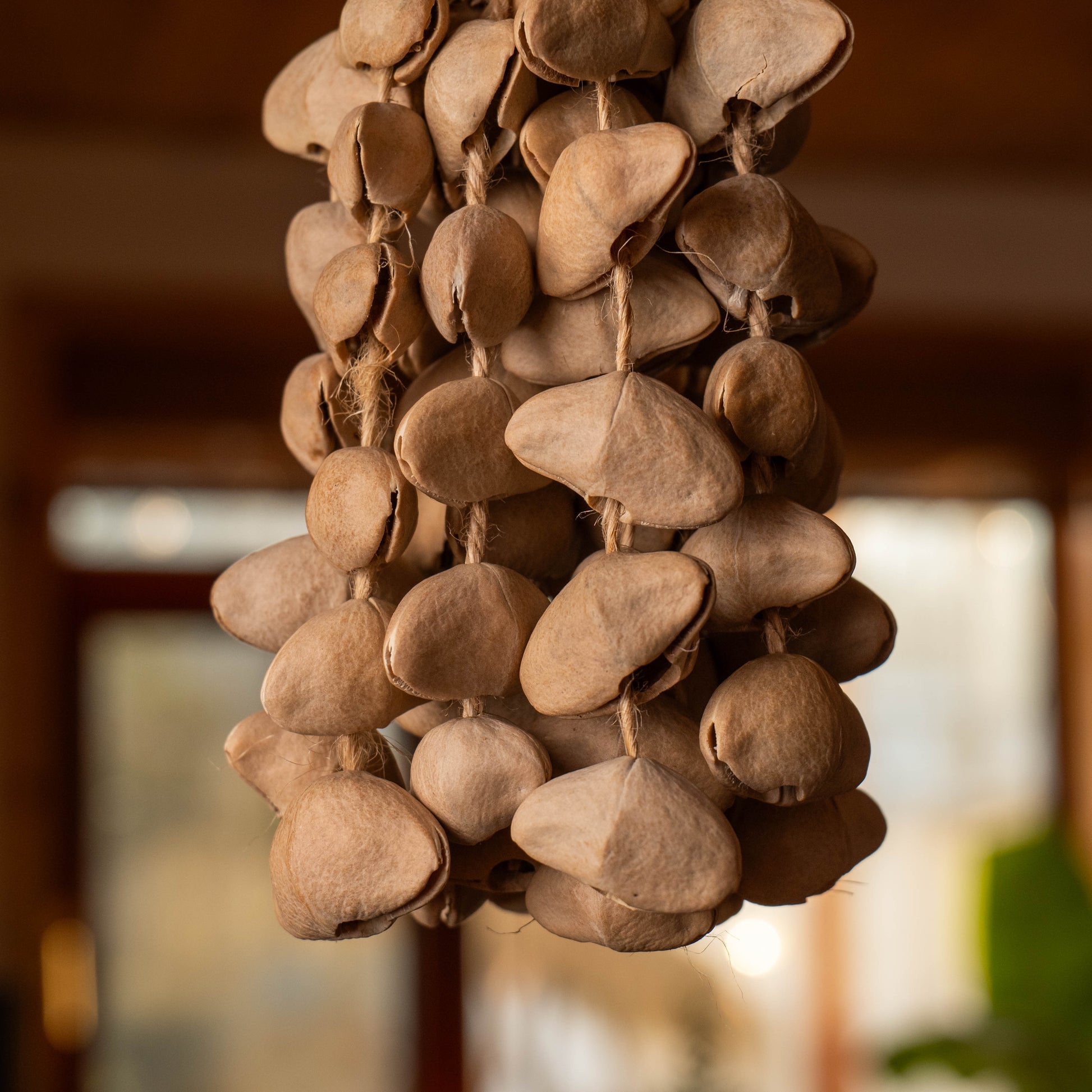 Handcrafted 74-seed Chacha shell wind chime in beige and brown on jute rope — botanical acoustic anchor for sensory grounding and sound healing