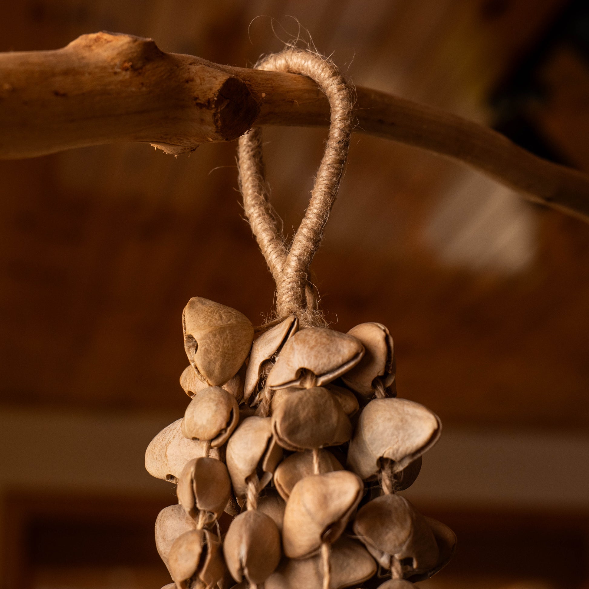 Handcrafted 74-seed Chacha shell wind chime in beige and brown on jute rope — botanical acoustic anchor for sensory grounding and sound healing