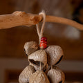 Handcrafted 18-seed Panji nut wind chime with red bean accents on hemp rope — botanical sound healing home decor