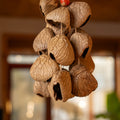 Handcrafted 18-seed Panji nut wind chime with red bean accents on hemp rope — botanical sound healing home decor