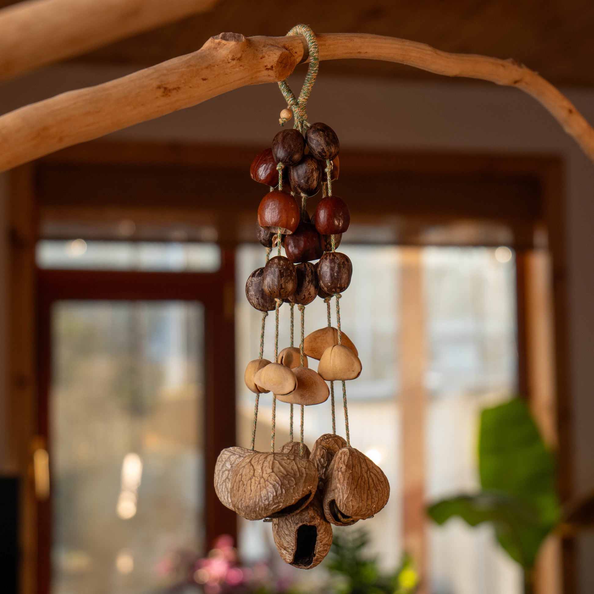 Professional 30-seed botanical wind chime featuring 18 Pala nuts, 6 Chacha pods, and 6 Panji shells for yoga, meditation, and sound healing.