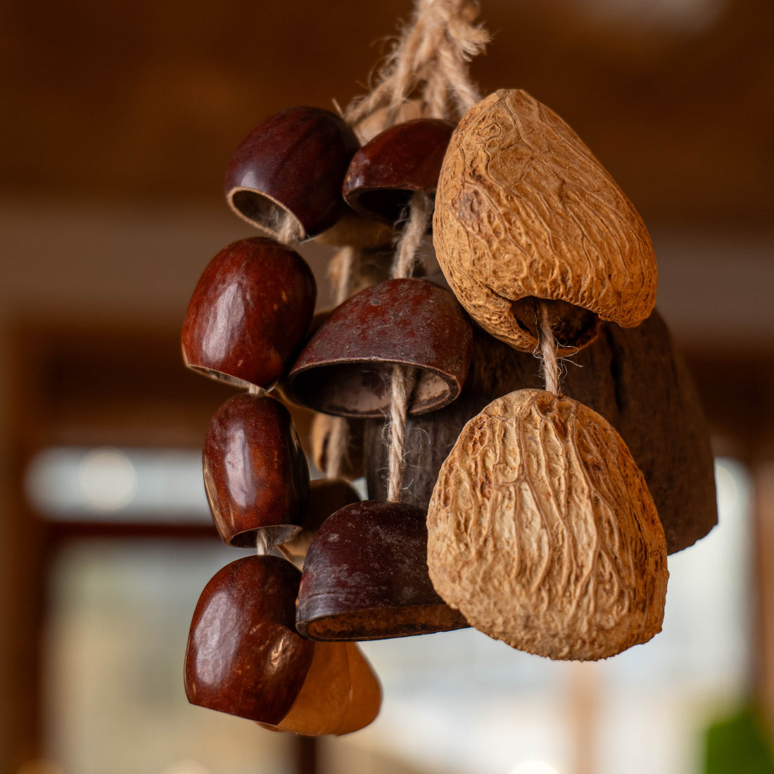 Handcrafted seed pod door chime with Salin, Juju and Chacha nuts on jute rope — natural boho entryway and wall decor