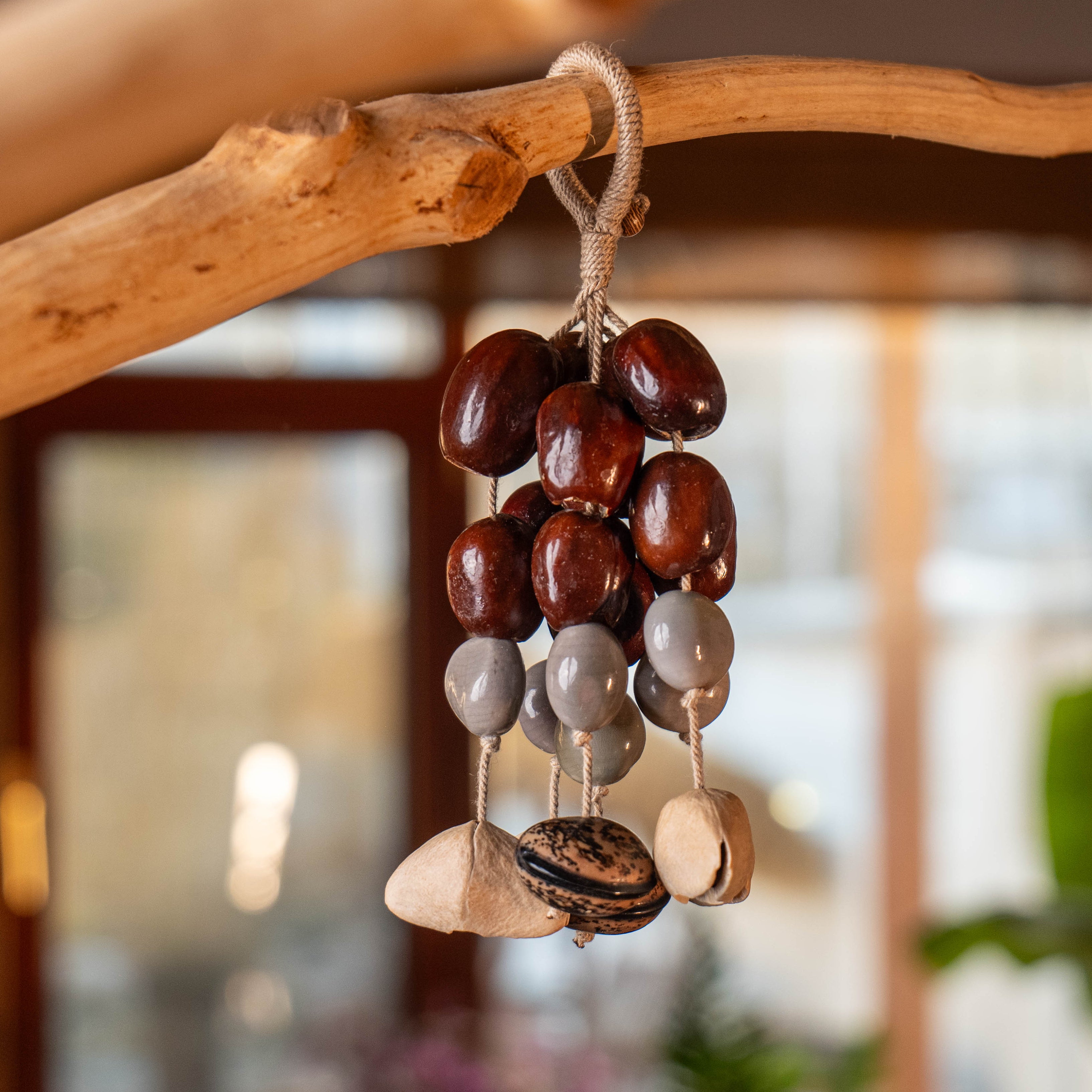 Sculptural botanical chime with a dark shell cap and suspended acoustic nut strikers.