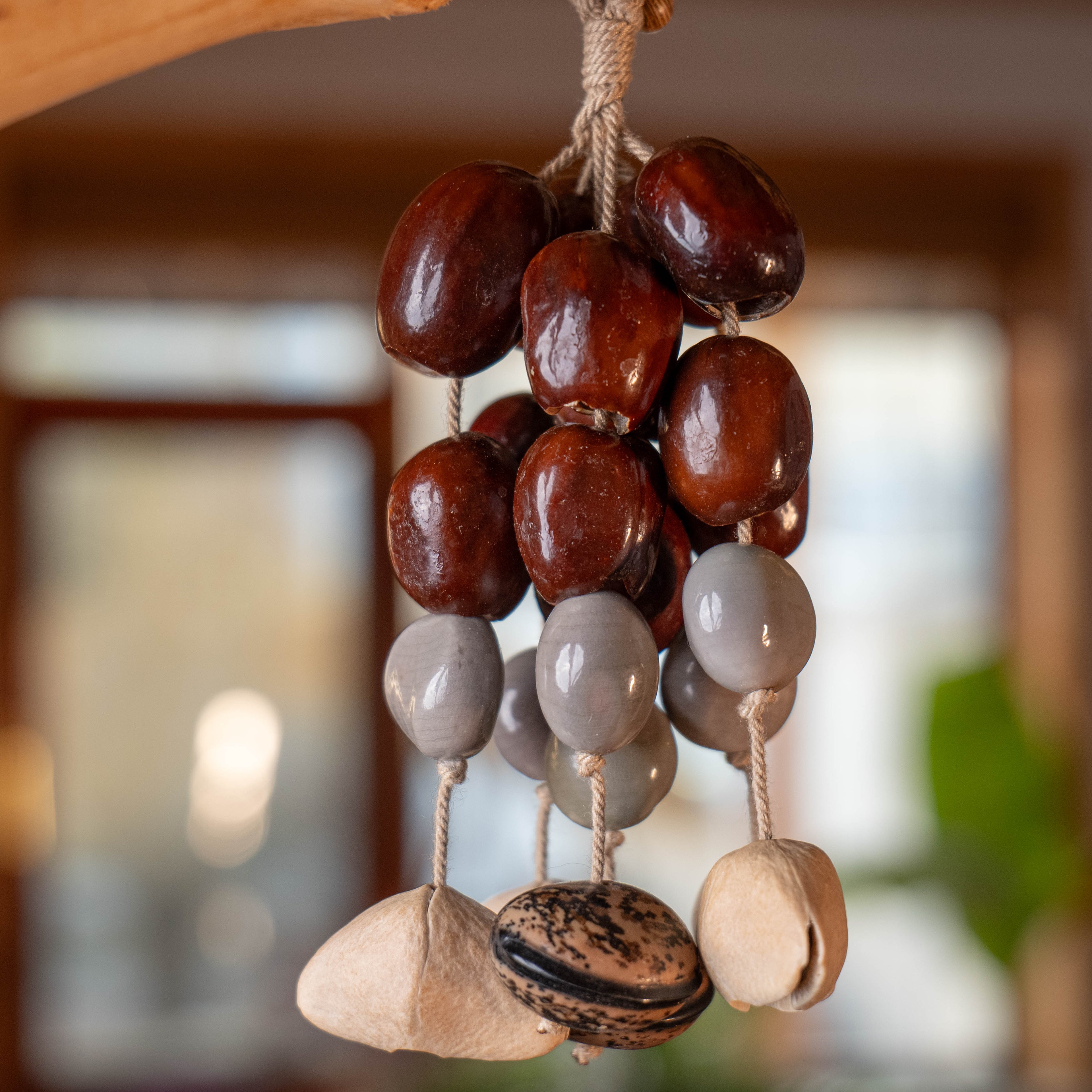 Sculptural botanical chime with a dark shell cap and suspended acoustic nut strikers.